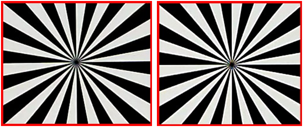 1111.png 1111.png